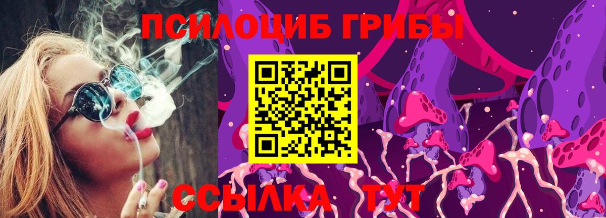 Севастополь  Галлюциногенные грибы MAGIC MUSHROOMS  Вход с VPN  Псилоцибиновые грибы прущие грибы 