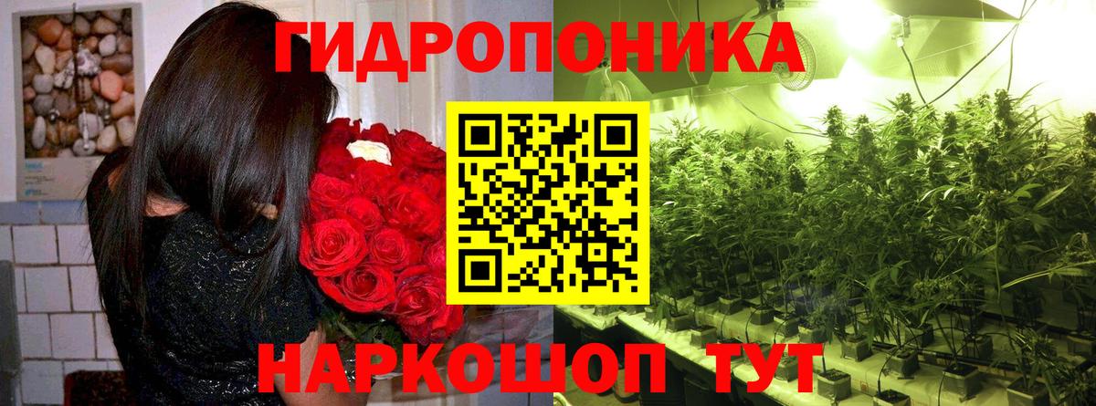 Конопля White Widow Севастополь